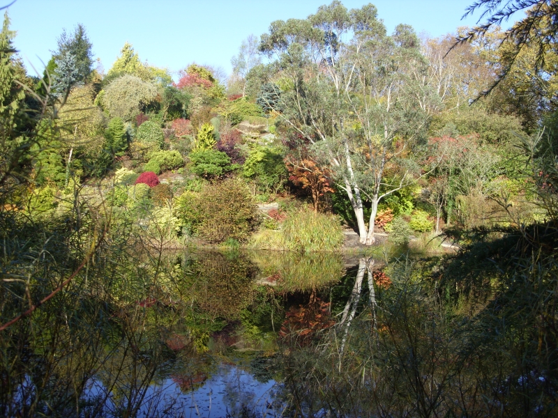 Dingle Nurseries & Garden